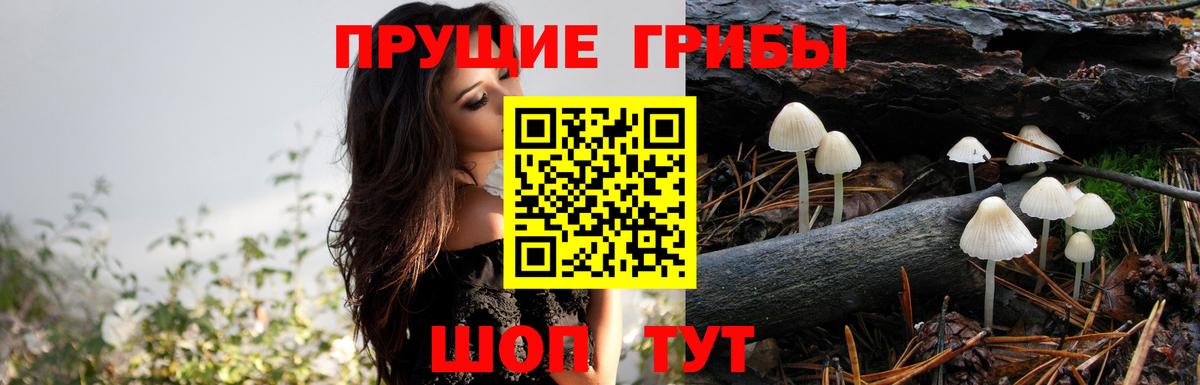 наркошоп  Вход с VPN  Маркс  Галлюциногенные грибы GOLDEN TEACHER 